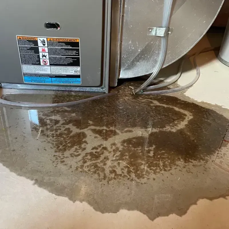 Appliance Leak Cleanup in Cheyenne County, CO